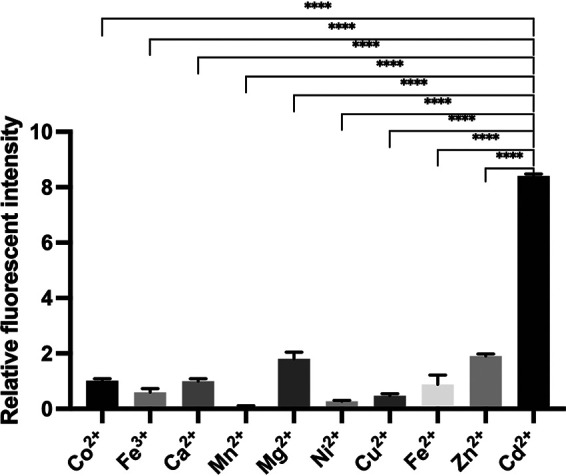 FIG 6