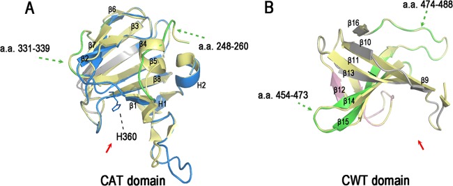 Fig 5