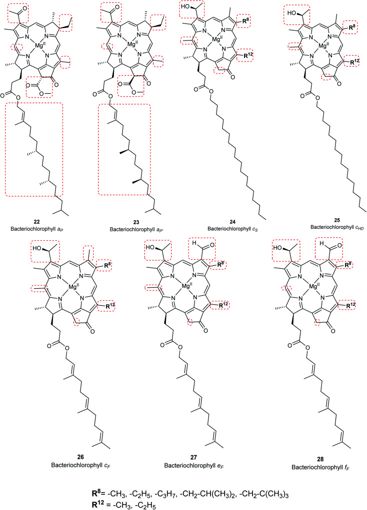 Fig. 7