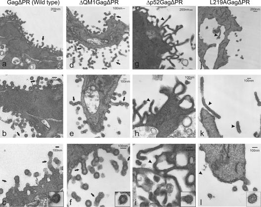 FIG. 7.