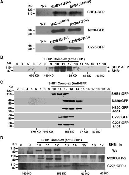 Figure 5.