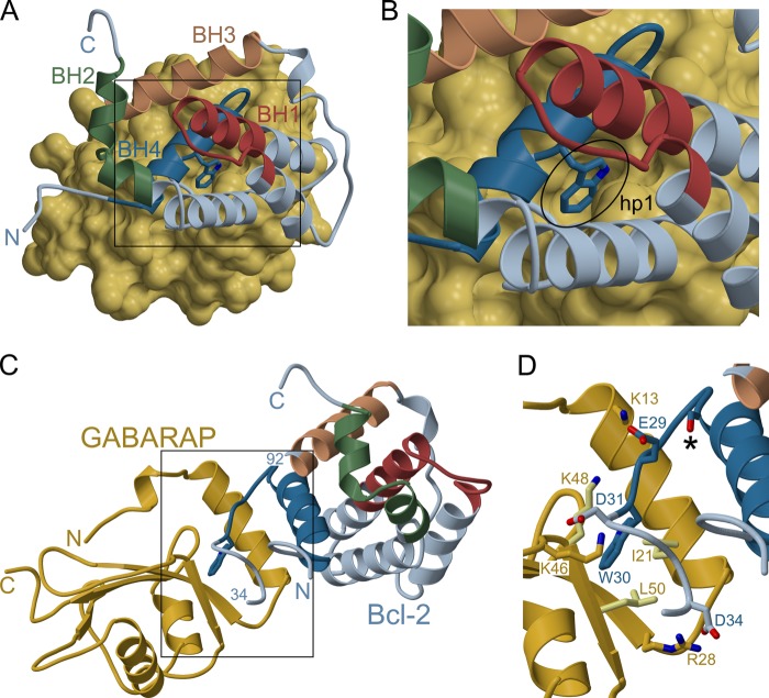 FIGURE 5.