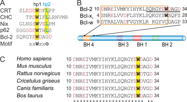 FIGURE 1.