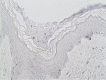 FIG 3