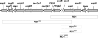 FIG 7