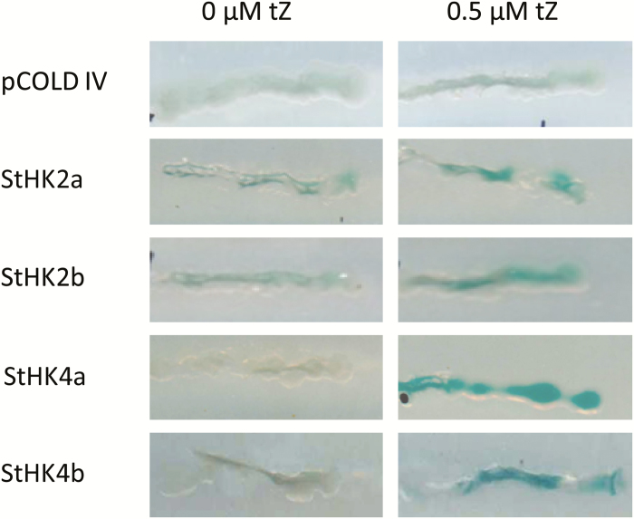 Fig. 6.