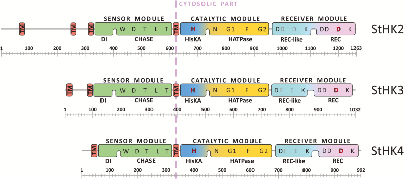 Fig. 2.