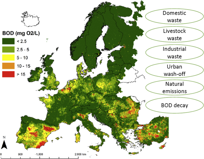 Unlabelled Image