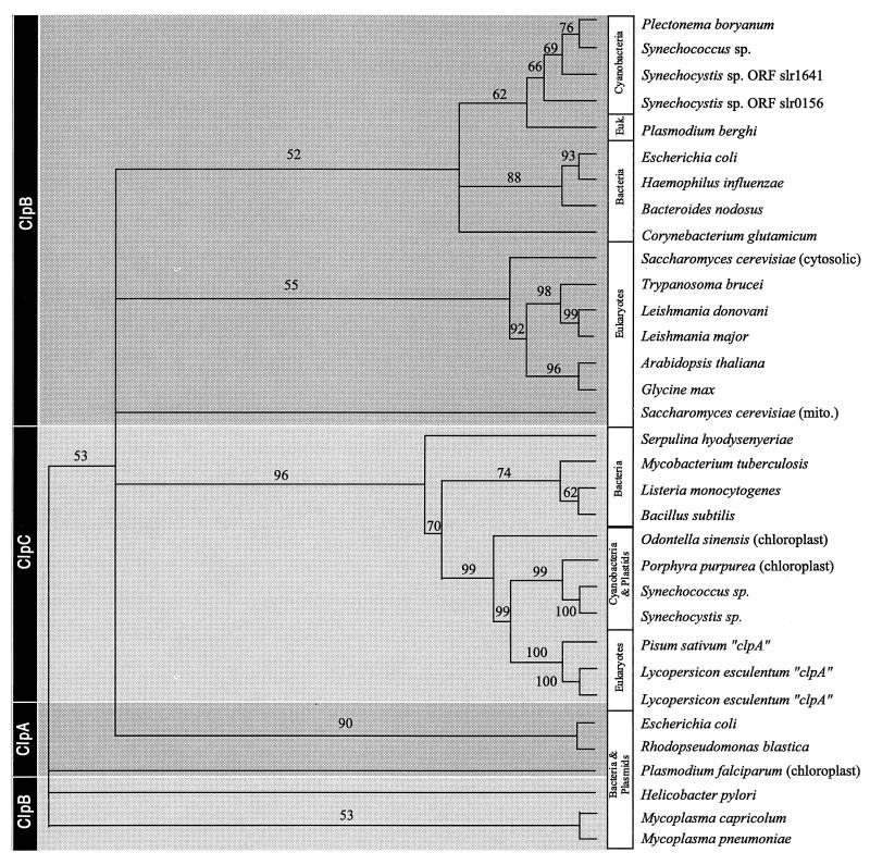 FIG. 6