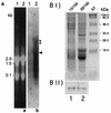 FIG. 7