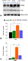 Figure 6: