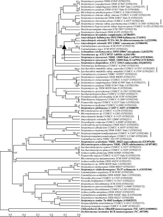 FIG. 1.