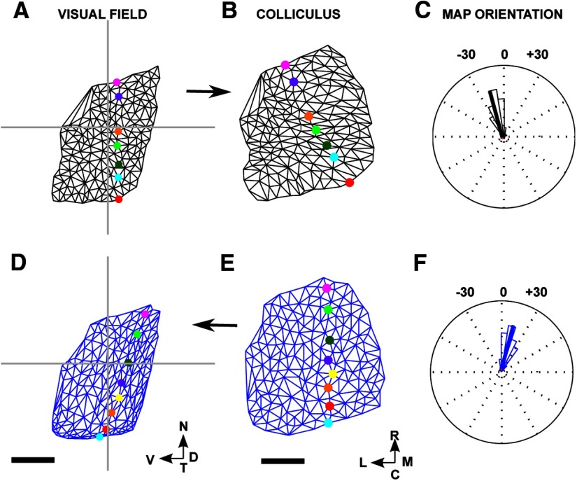 Figure 6.