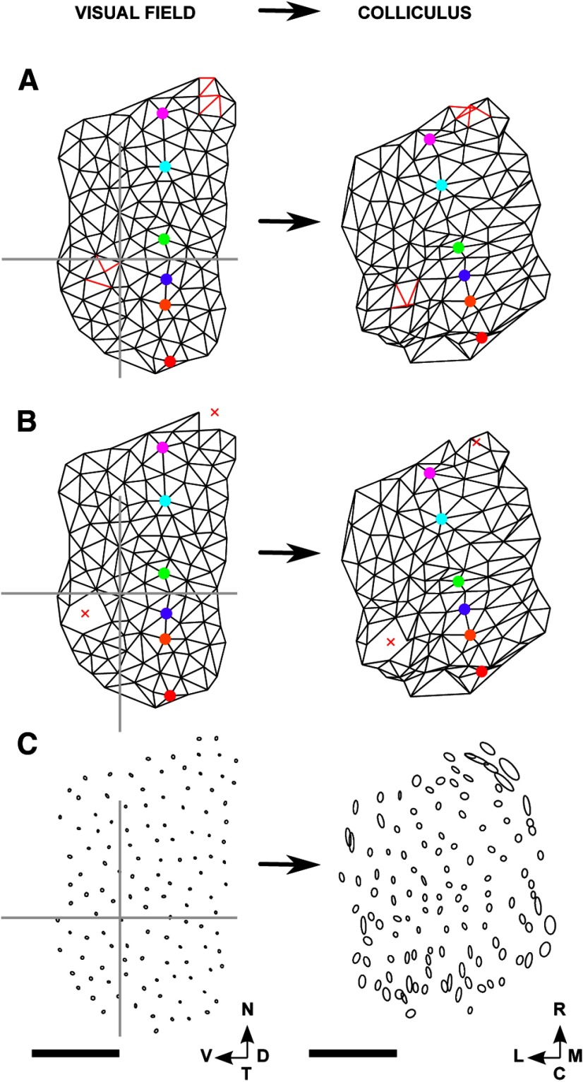 Figure 7.