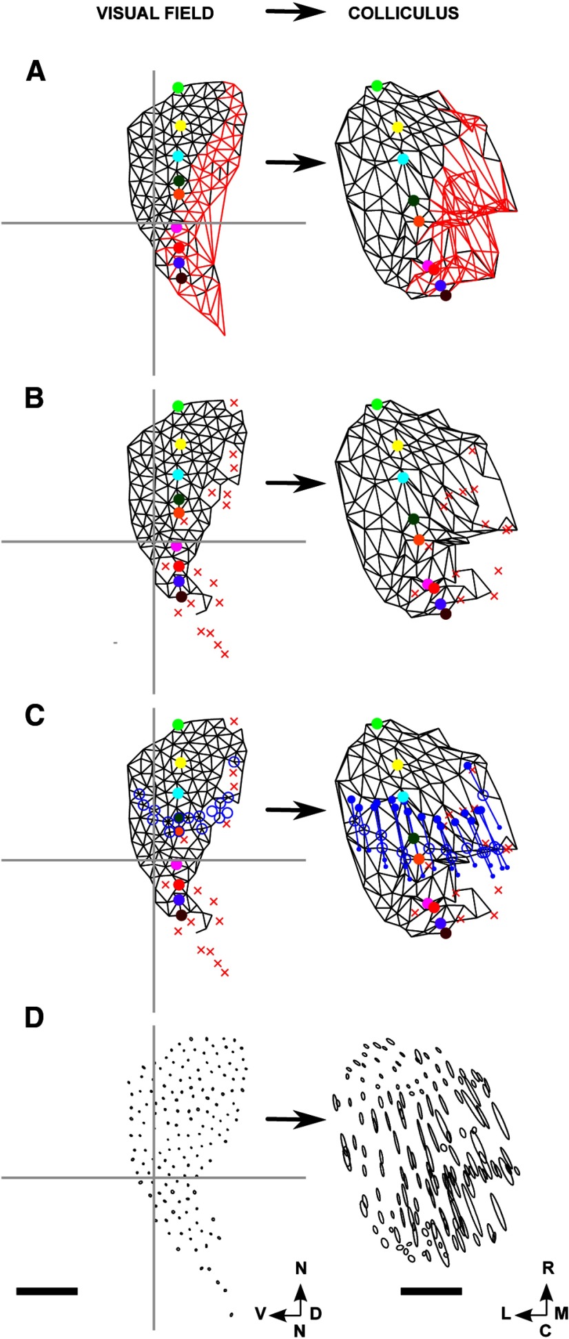 Figure 10.