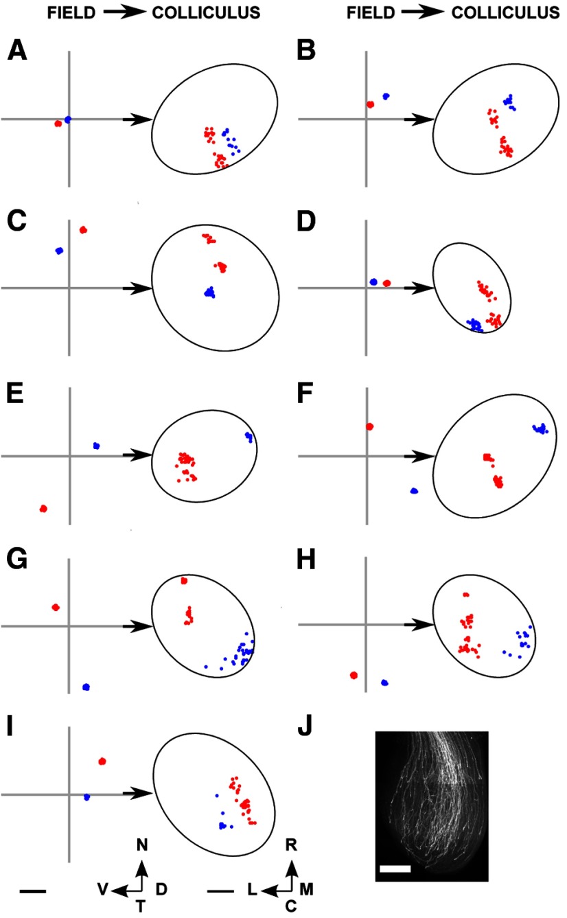 Figure 12.