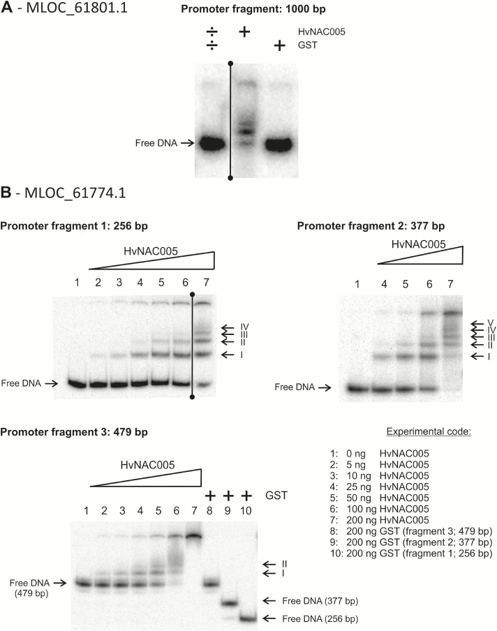 Fig. 8.