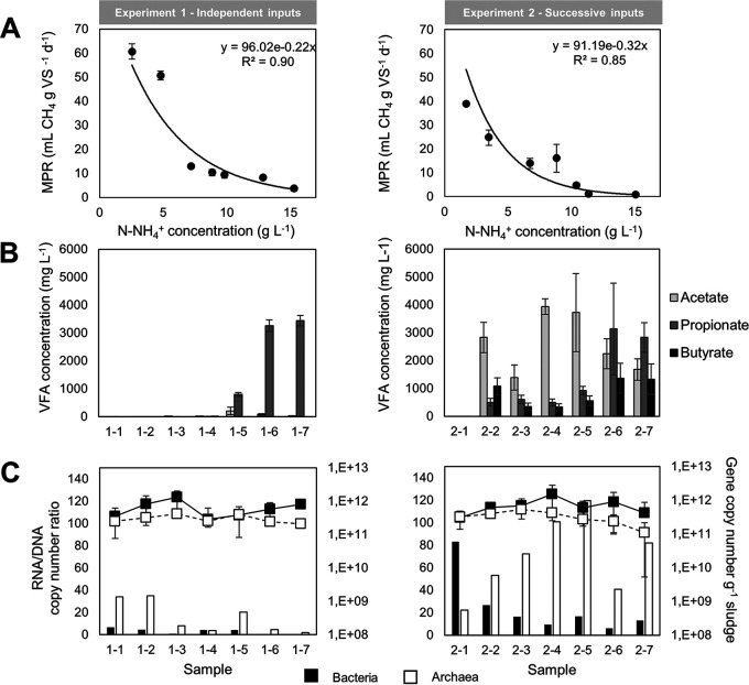 FIG 2