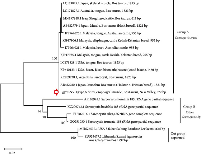 Figure 11