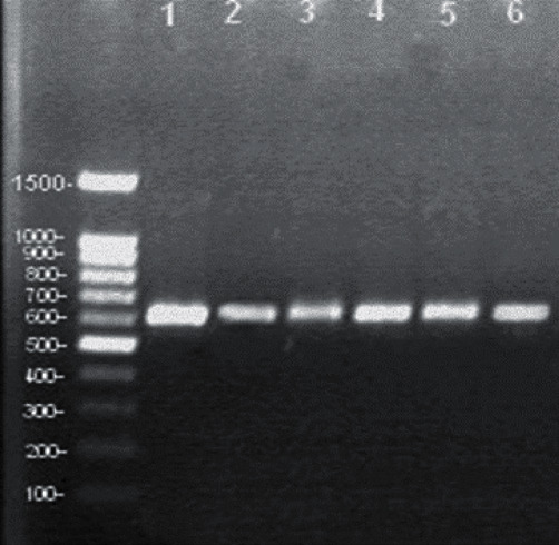Figure 9