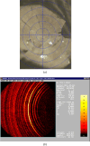 Figure 18