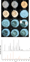 Figure 20