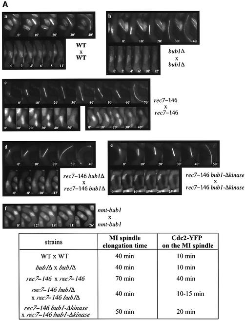 graphic file with name cdg100f8a.jpg