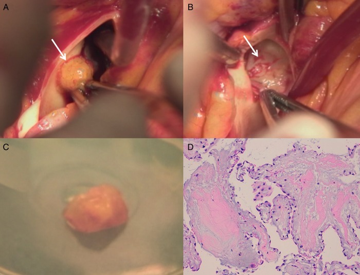 Figure 2: