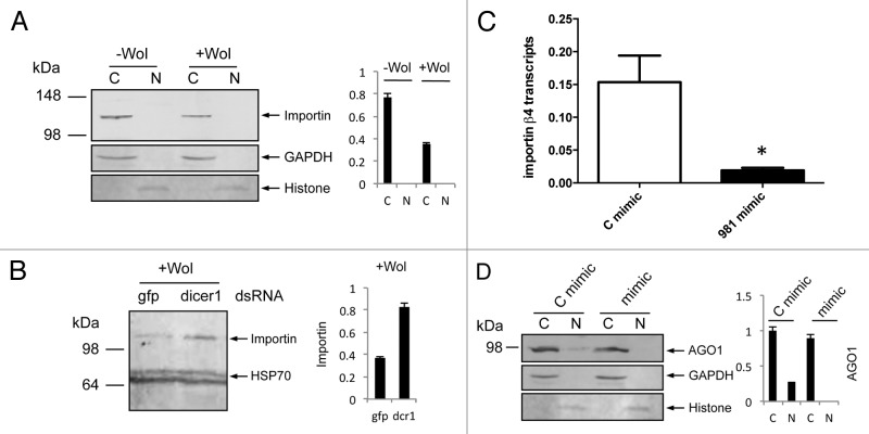 graphic file with name rna-10-1868-g3.jpg