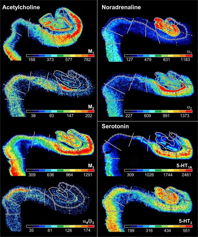 Fig. 6