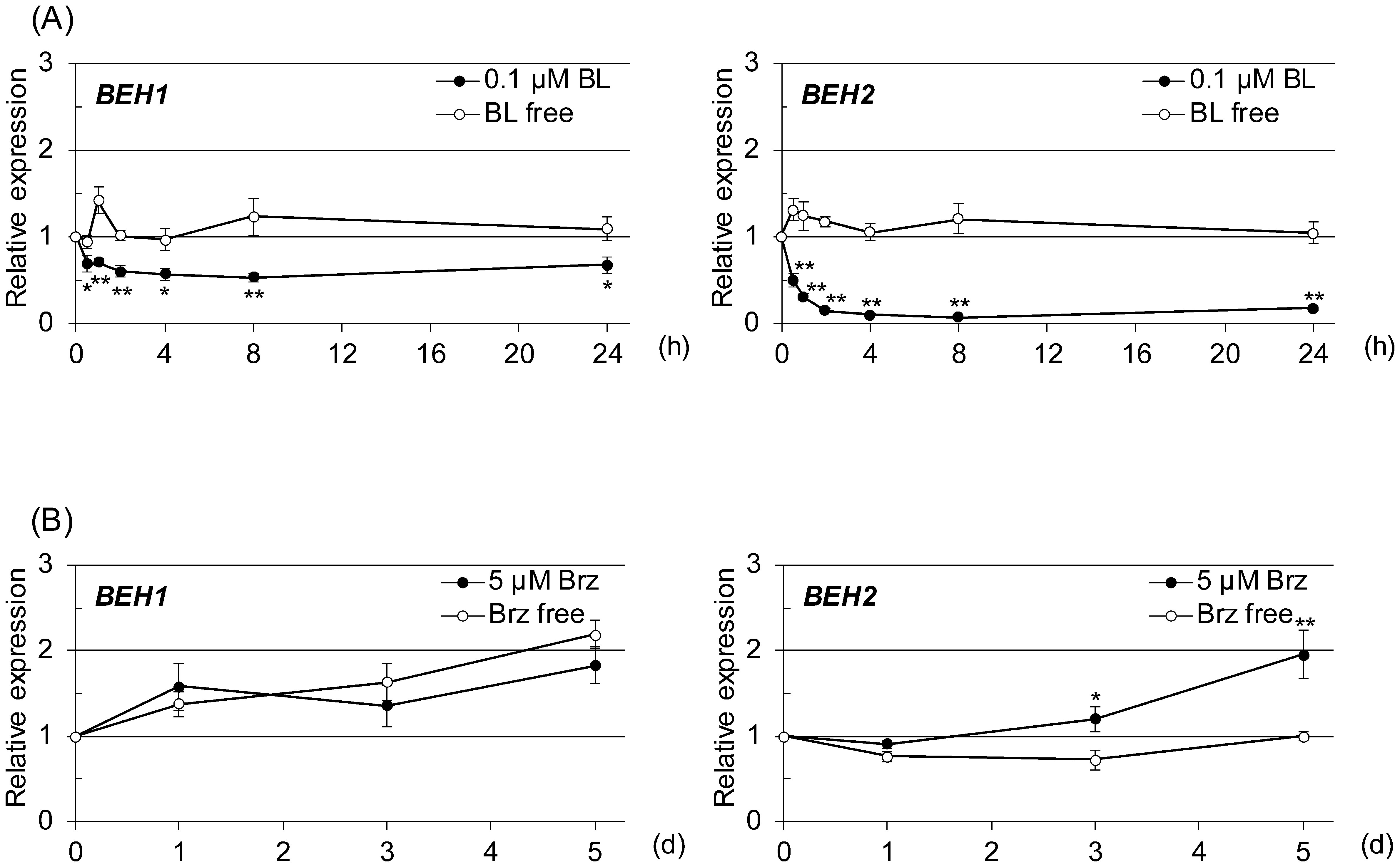 Fig. 4. qRT-PCR was used to evaluate the time-dependent response of BEH1 and BEH2 to an increased or decreased BR level in 2-wk-old seedlings. (A) Brassinolide (BL, 0.1 µM) was given to plants for the indicated number of hours following 2 days’ pretreatment with 5 µM brassinazole (Brz), a BR biosynthesis inhibitor. (B) Brz (5 µM) was applied directly to the seedlings for the indicated number of days. In the graphs, data are shown as relative values of the means with SE (set 1 for time 0), following normalization by that of ACT2. Statistical analyses were performed with Student’s t-test (*p<0.05, **p<0.01).