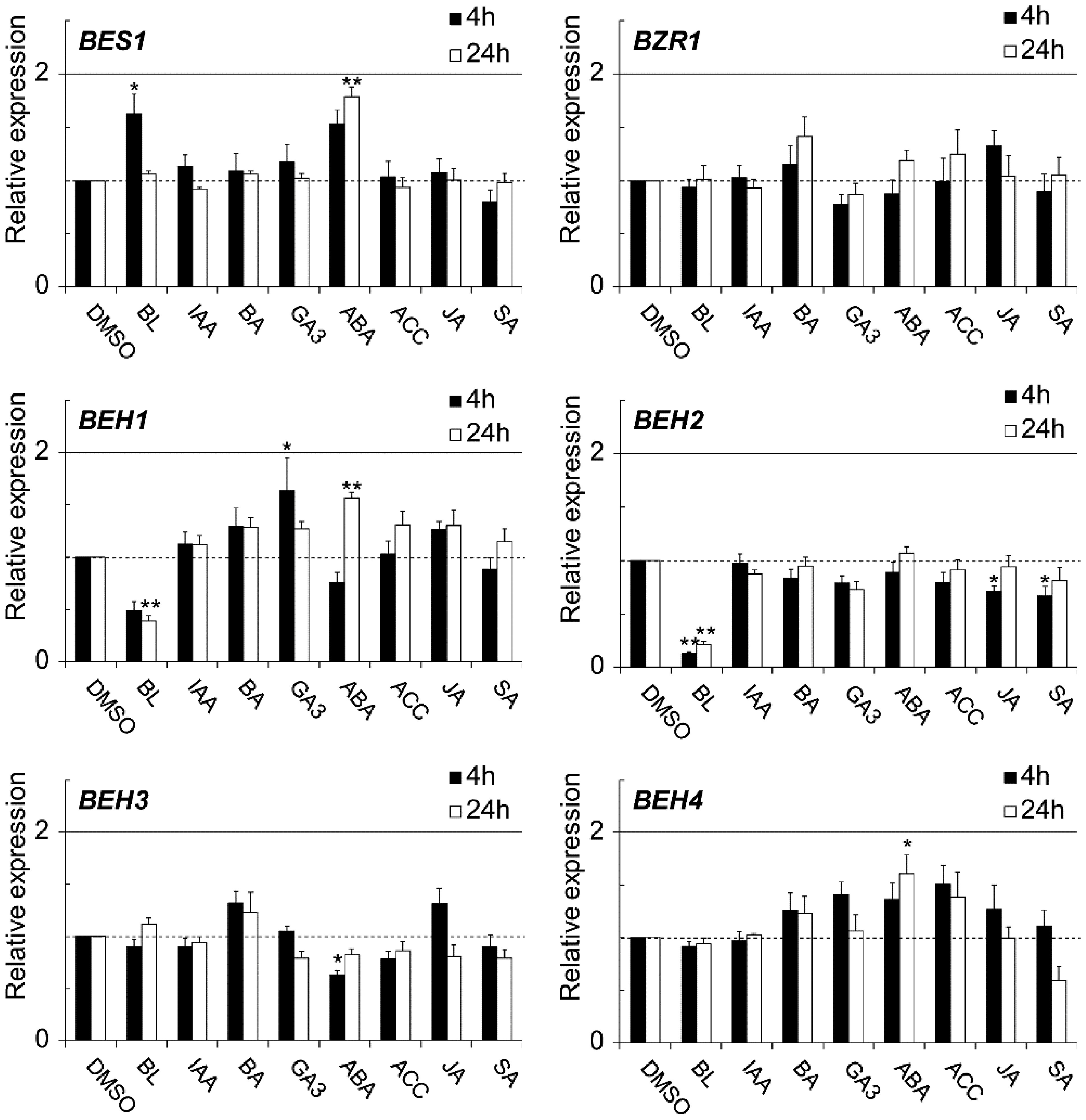 Fig. 3. qRT-PCR was used to evaluate the effects of phytohormones on the expression of BES1/BZR1 family members in 2-wk-old seedlings. In the graphs, data are shown as relative values of the means with SE (set 1 for the control treatment with 0.1% DMSO used as a solvent), following normalization by that of ACT2. Statistical analyses were conducted using Dunnett’s test (*p<0.05, **p<0.01).