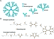 Fig. 13