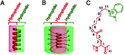 Fig. 19