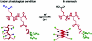 Fig. 20