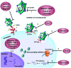 Fig. 32