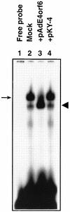 FIG. 6