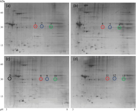 Fig. 1. 