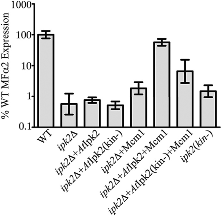 Fig. 7.