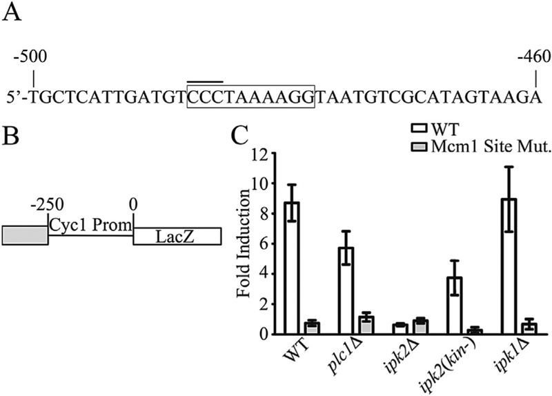 Fig. 6.