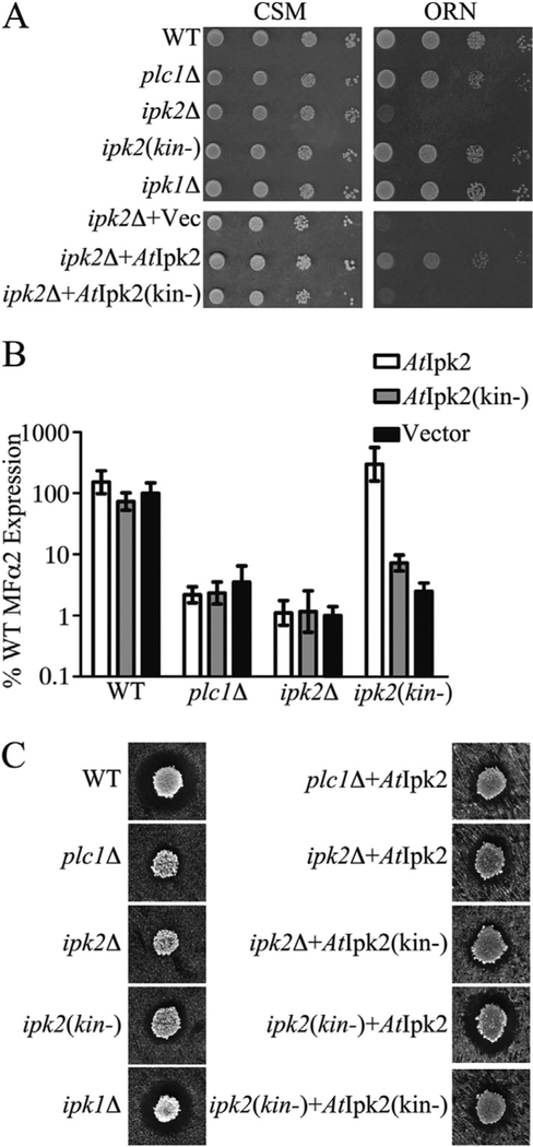 Fig. 2.