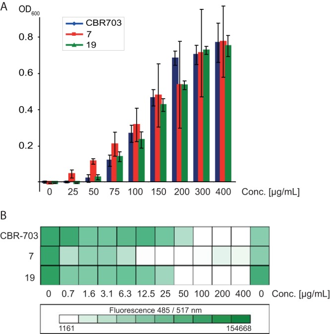 FIG 2