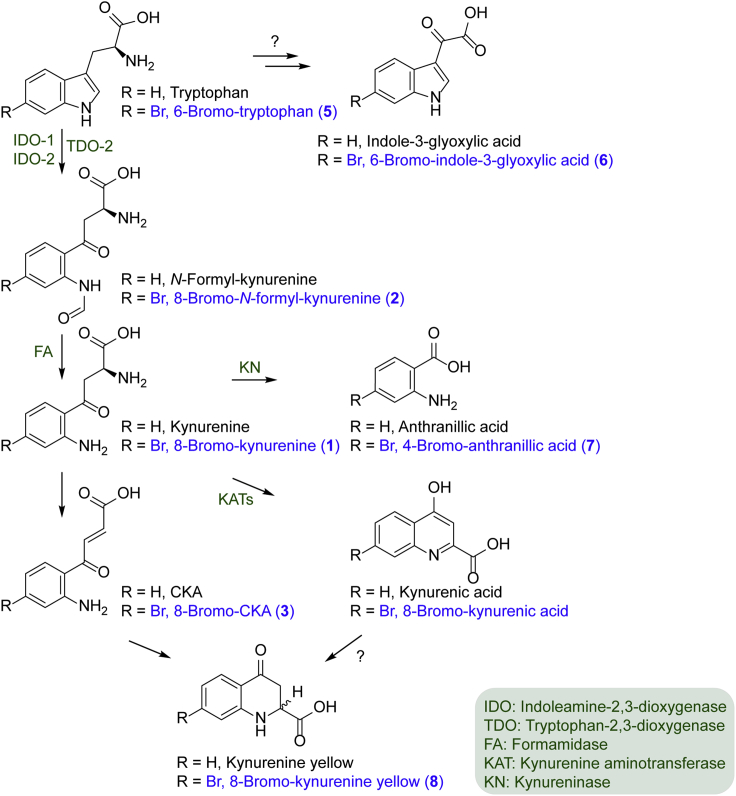 Figure 4