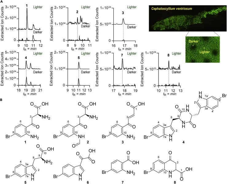 Figure 2