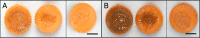 FIG 1