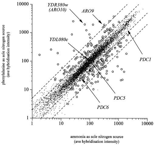 FIG. 2.