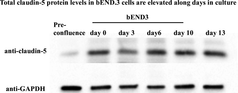 Figure 2—figure supplement 1.