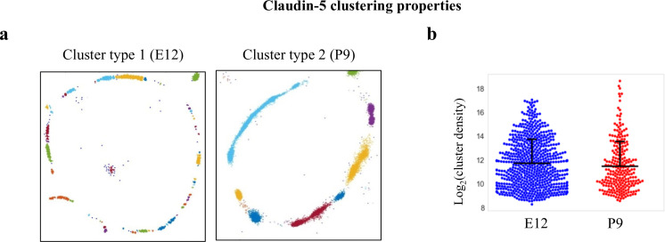 Figure 5—figure supplement 1.