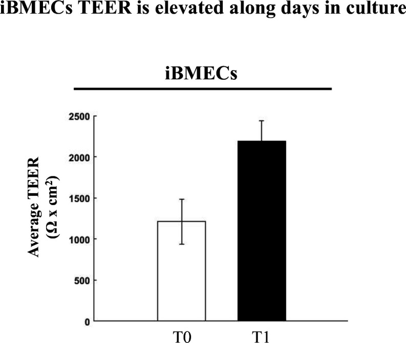 Figure 2—figure supplement 2.