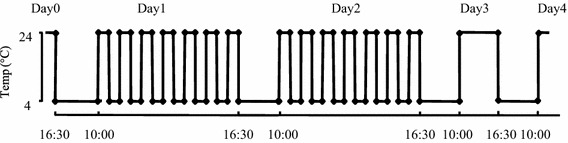 Fig. 1